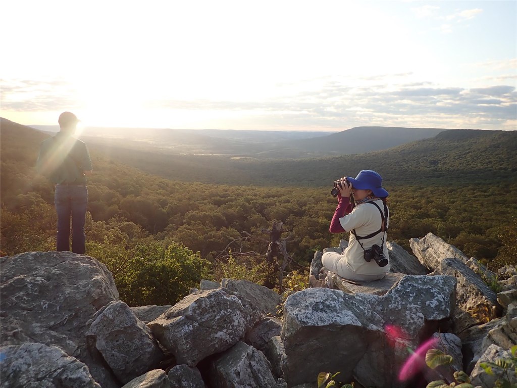 Two trainees stationed at North Lookout, looking over the valley