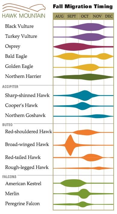 Fall Migration Timing Chart