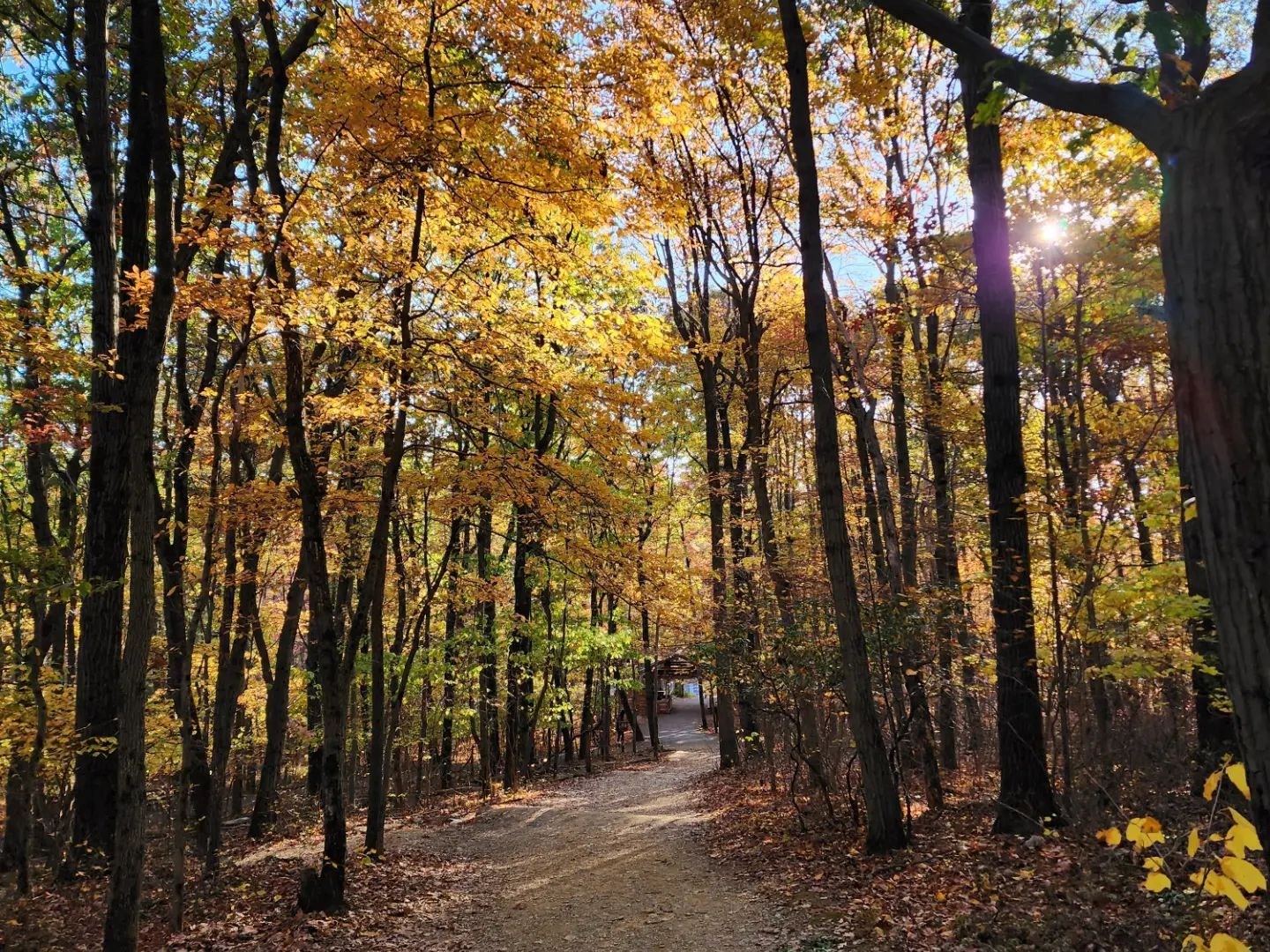 Hawk Mountain Trick or Treat Trail