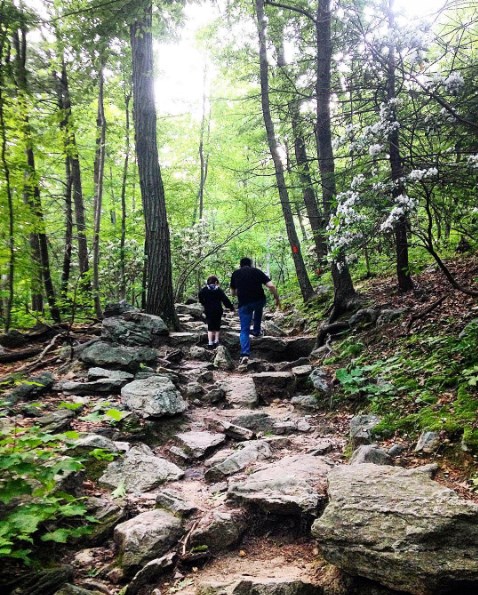 father and son hiking on trails