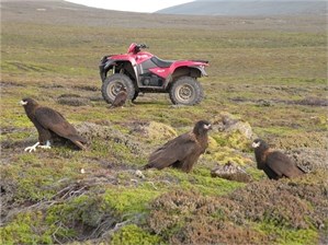 research atv