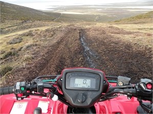 open land