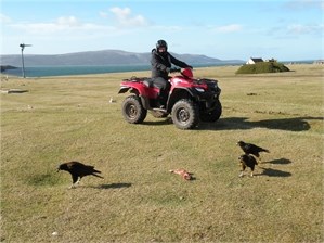 quad
