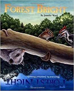 Forest Bright Forest Night: Sanctuary Storytime Forest Bright Forest Night: Sanctuary Storytime