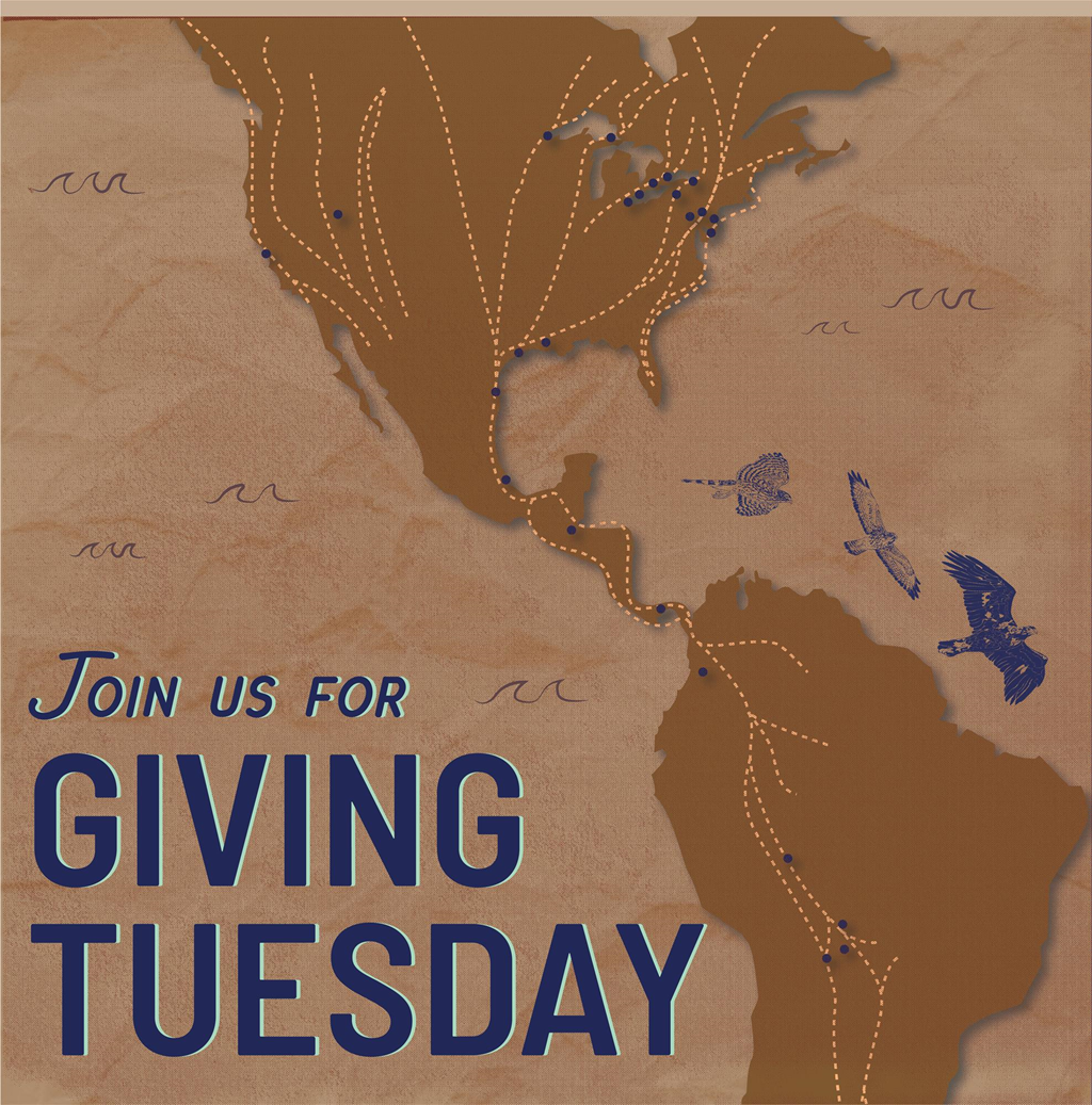 Giving Tuesday graphic