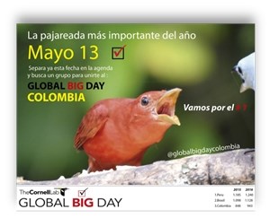 Global Big Day Summer Tanger