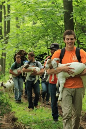 Kids carrying goats