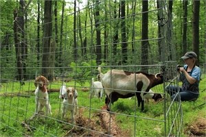 Goat Fencing