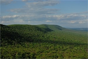 North Lookout View