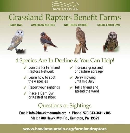 grassland raptors benefit farms