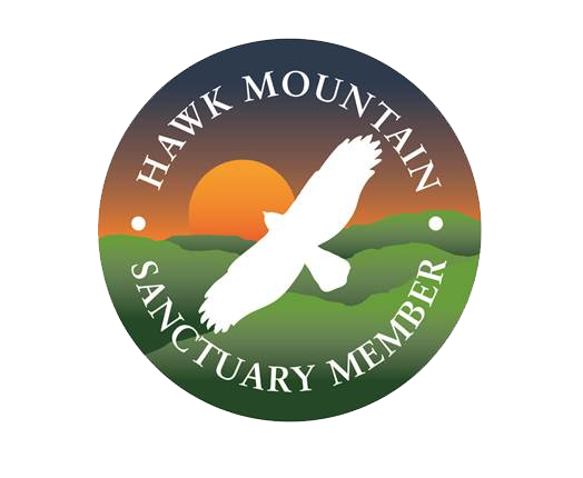 Hawk Mountain Member