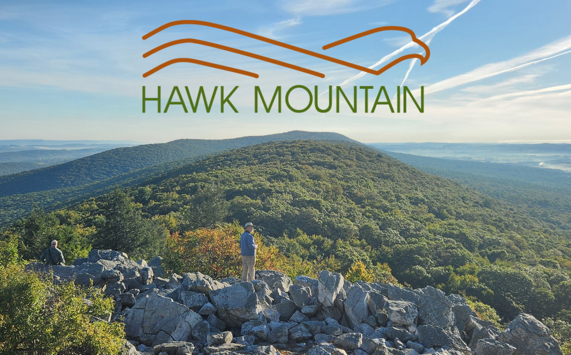 Hawk Mountain Sanctuary: The Past, Present, and Future of Global Raptor Conservation