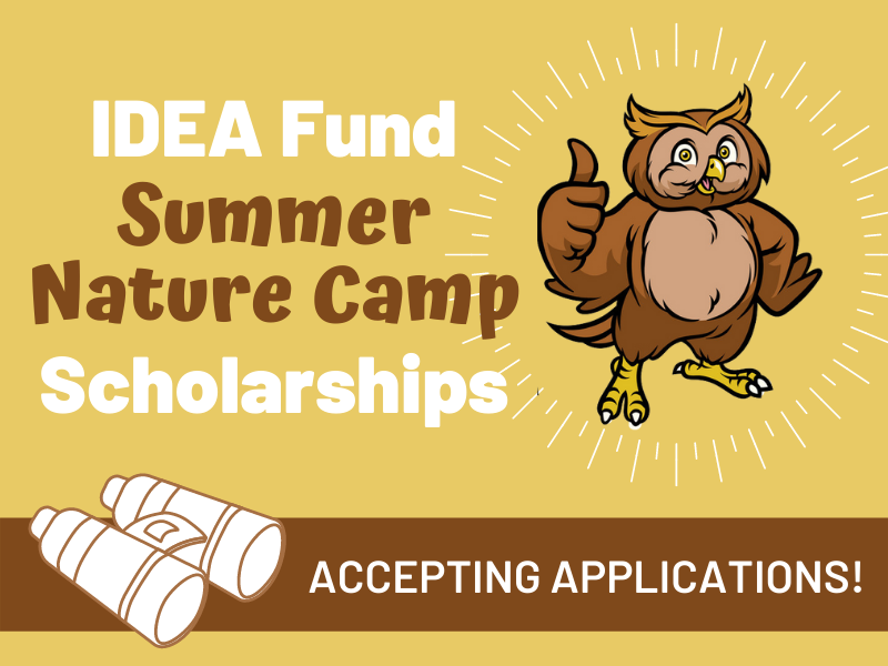 IDEA Fund Summer Nature Camp Scholarships IDEA Fund Summer Nature Camp Scholarships