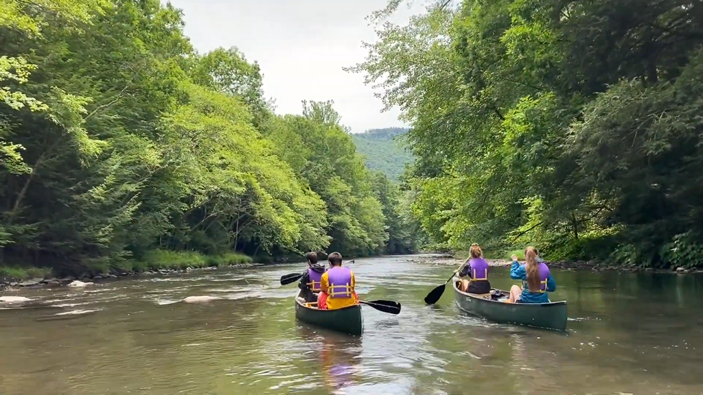 Appalachian Ecology Course participants engaging in watershed education