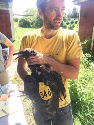 jf and black vulture