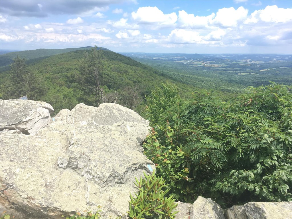 Summer View of the ridge and the valley from North Lookout