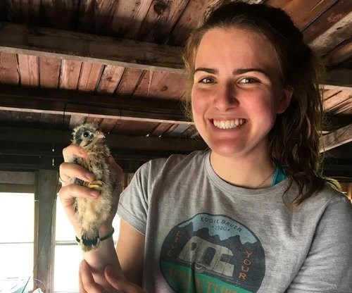 Karissa with Kestrel chick