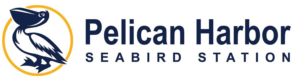Pelican Harbor Seabird Station Logo Pelican Harbor Seabird Station Logo