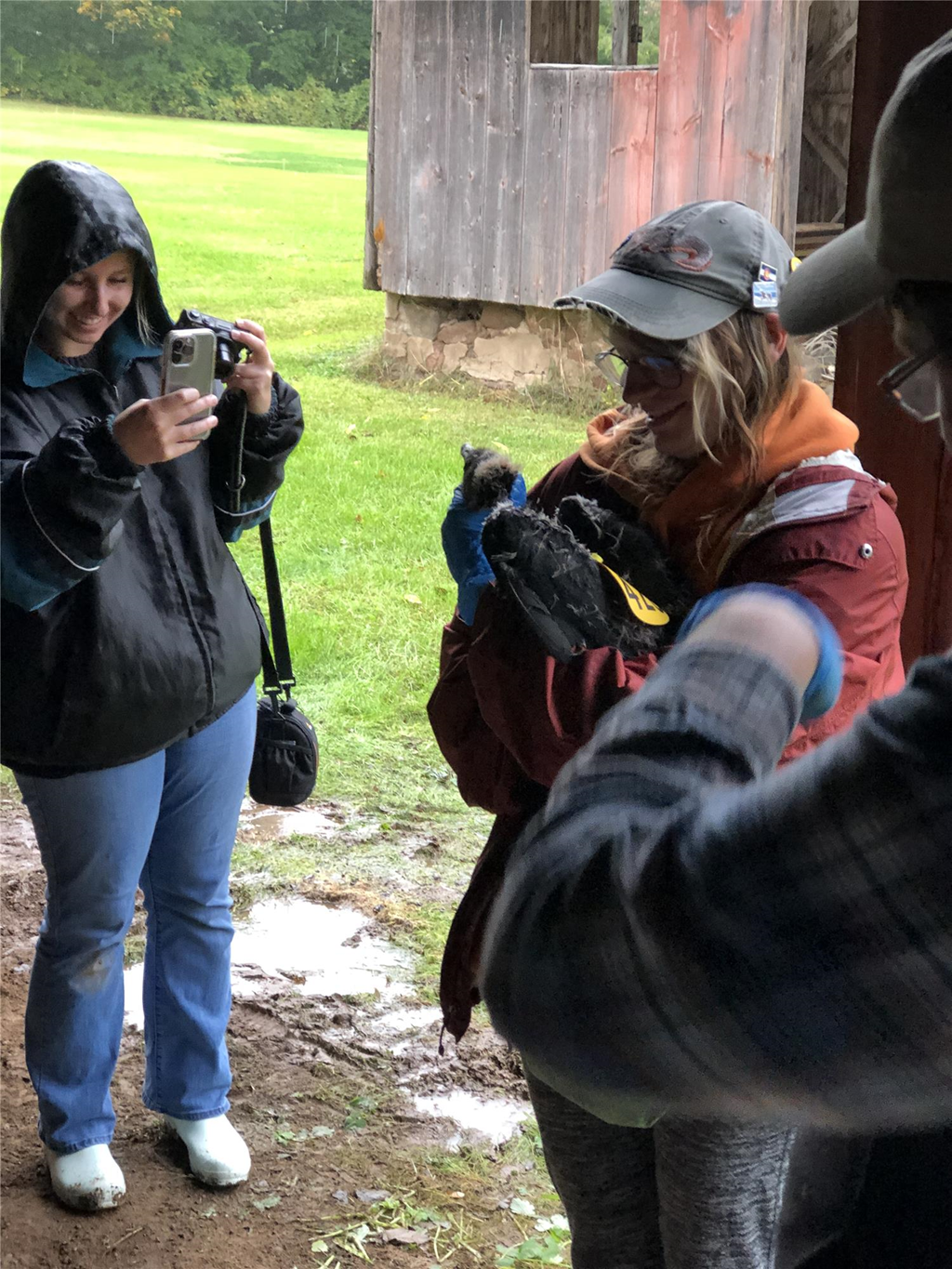 Laura documents trainee Emily Ritter learning to hold a black vulture Laura documents trainee Emily Ritter learning to hold a black vulture