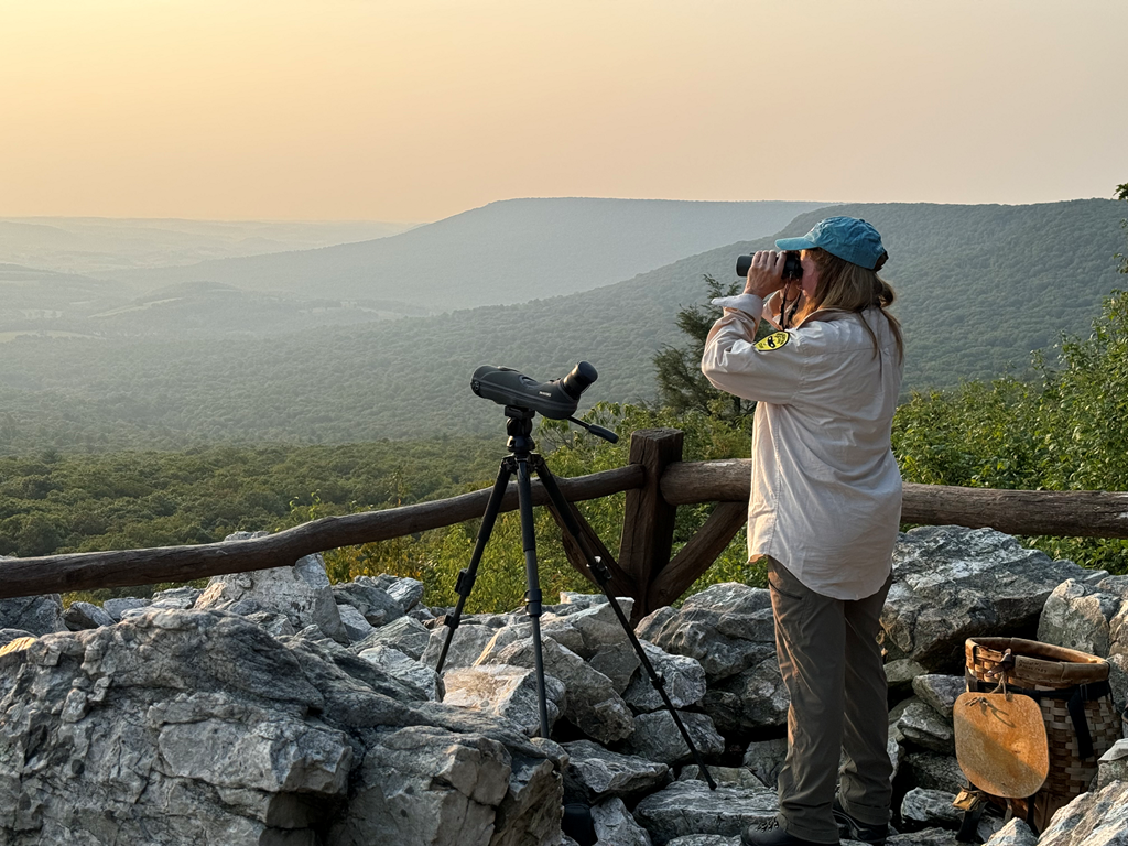 Laurie Goodrich hawkwatching at North Lookout, photo by Todd Bauman Laurie Goodrich hawkwatching at North Lookout, photo by Todd Bauman