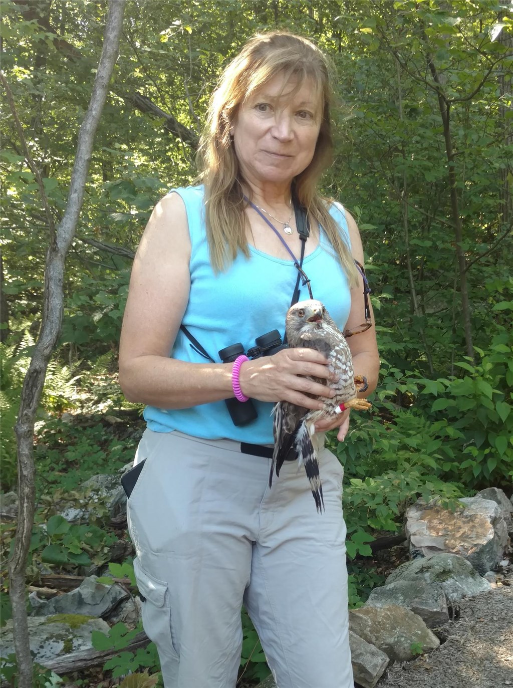 Laurie with a Tagged Broad-winged Hawk Laurie with a Tagged Broad-winged Hawk
