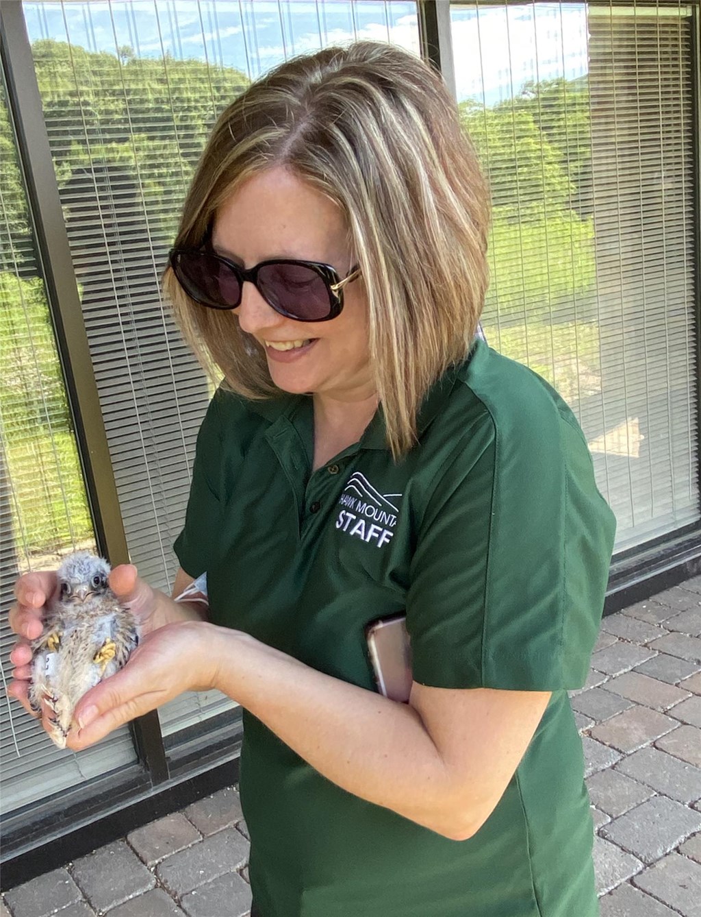 Mary Holding a Banded American Kestrel Chick