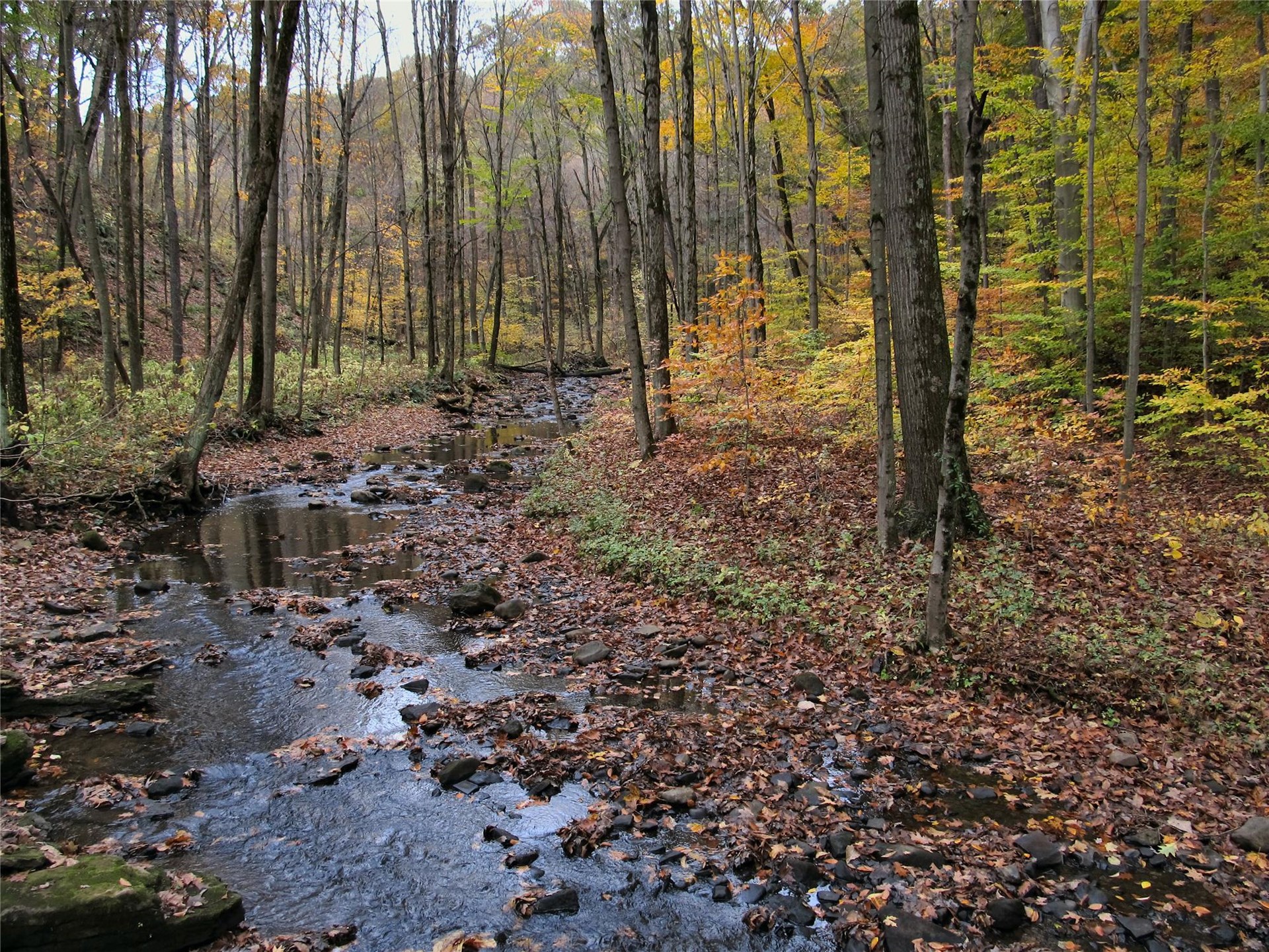 PA Biodiversity and Climate Change | Educator Workshop