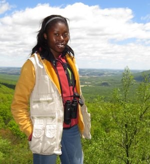 merlyn north lookout