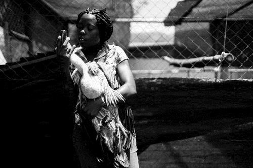merlyn with vulture Merlyn with vulture