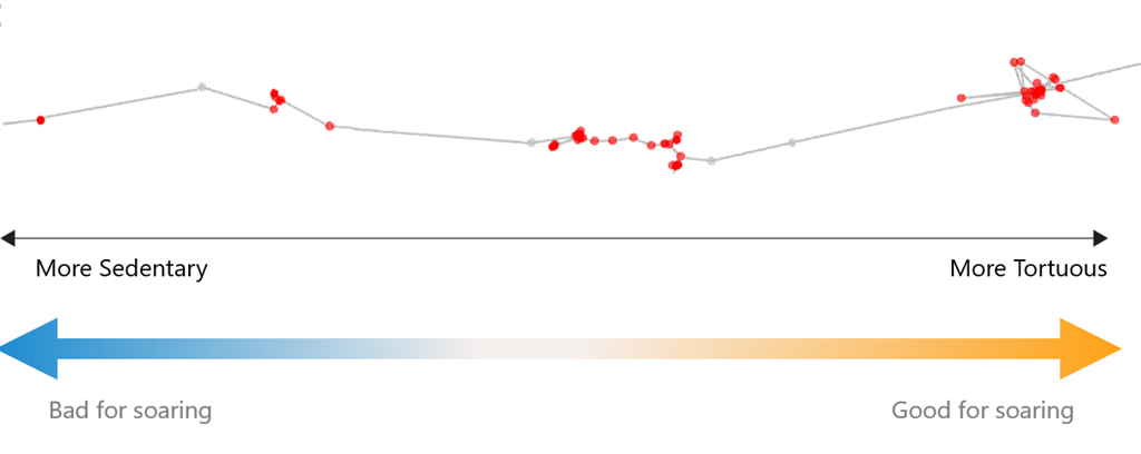 Vulture Movement Graph