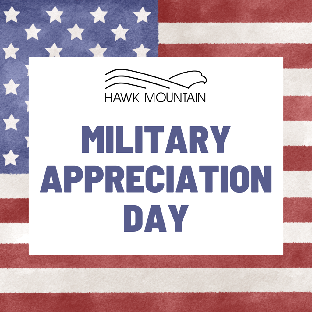 Military Appreciation Day