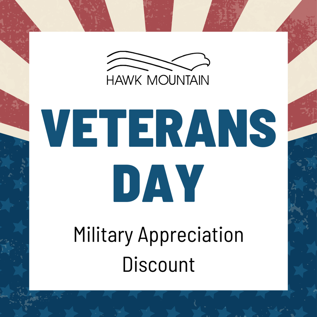 Veterans Day Military Appreciation Day graphic