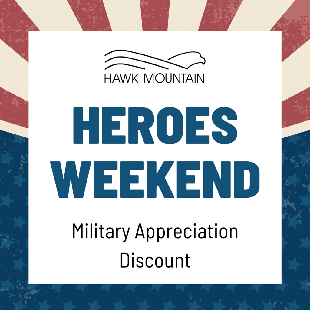 Military Appreciation Discount Graphic