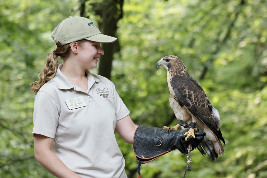 education trainee with red-tailed hawk avian ambassador