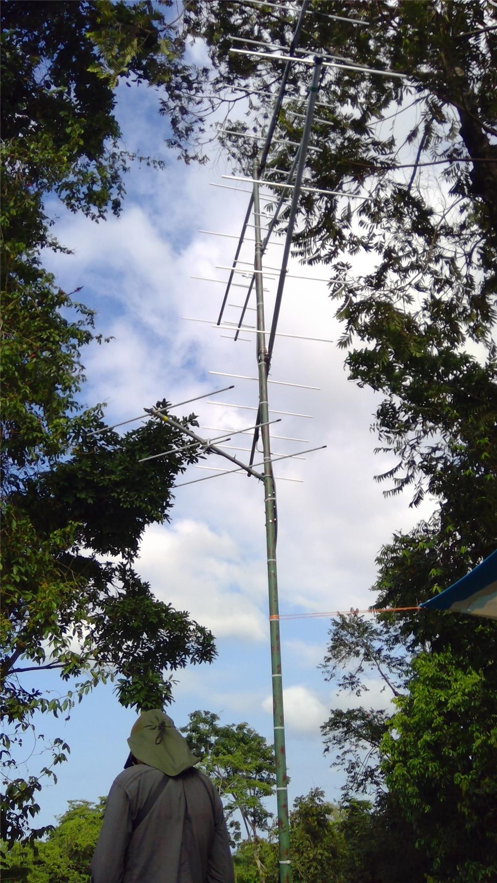 Motus Antenna in Costa Rica Motus Antenna in Costa Rica