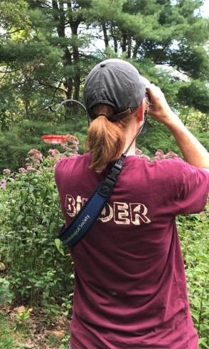 Birder Birder