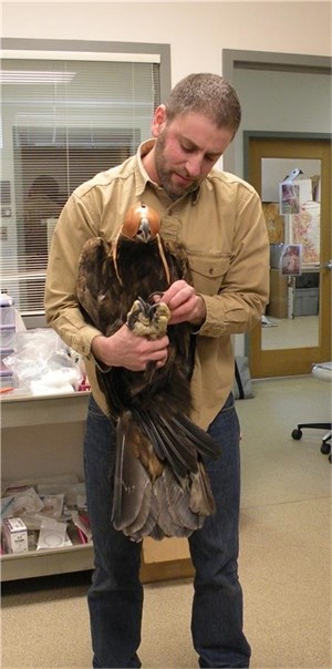 Eagle Award
