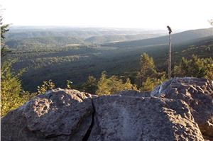 North Lookout