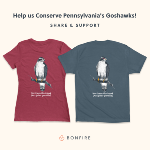 northern goshawk t shirt norrthern goshawk t shirt