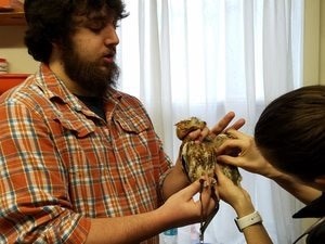 owl checkup
