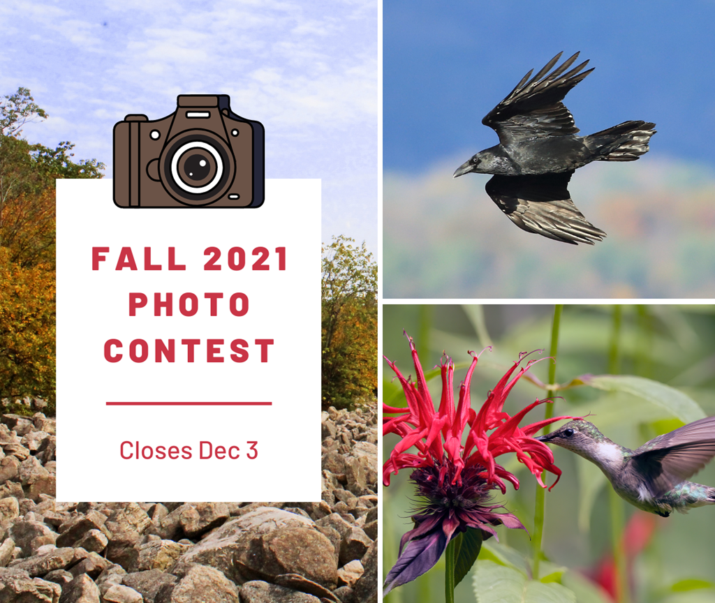 Fall 2021 Photo Contest Collage Graphic