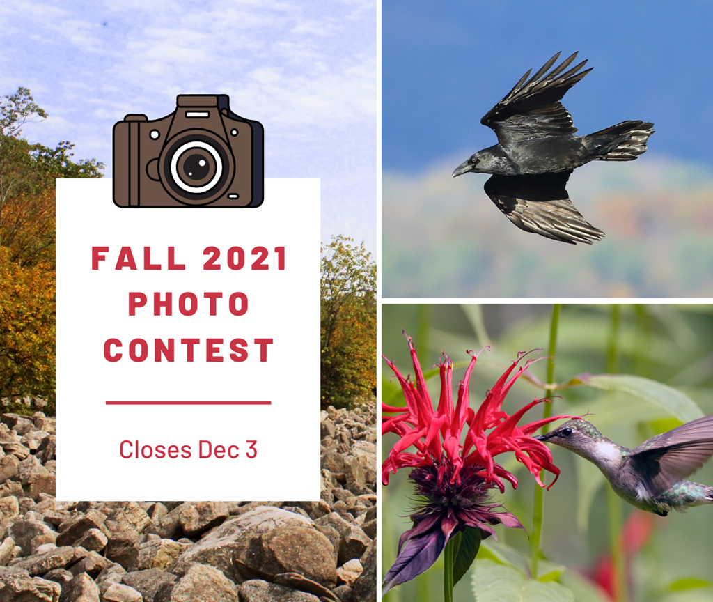 Fall 2021 Photo Contest Collage Graphic Fall 2021 Photo Contest Collage Graphic