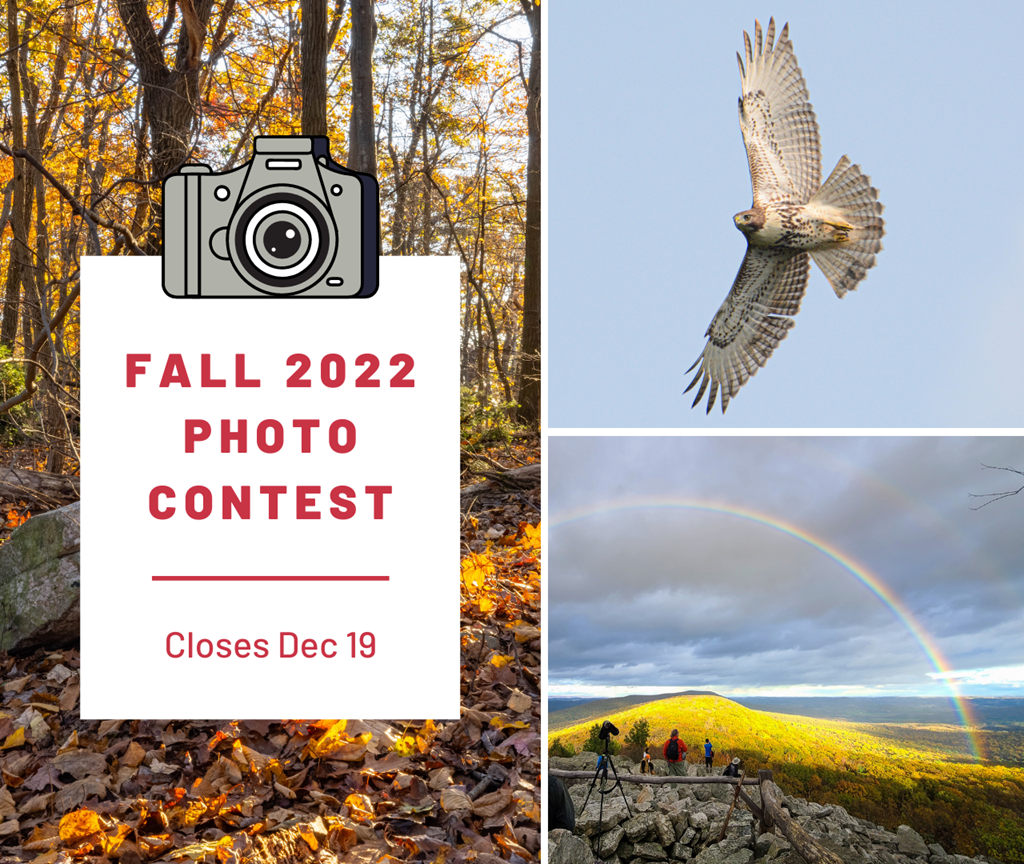 Fall 2022 Photo Contest Graphic