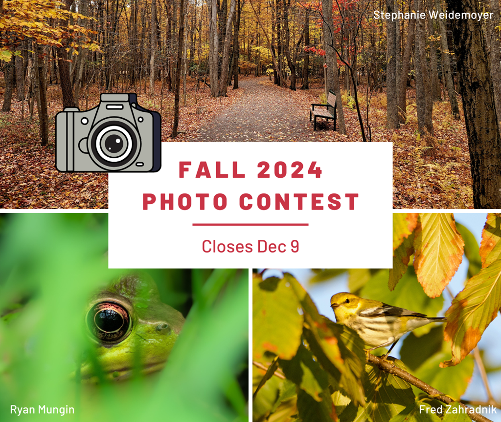 Fall 2024 Photo Contest Graphic Fall 2024 Photo Contest Graphic