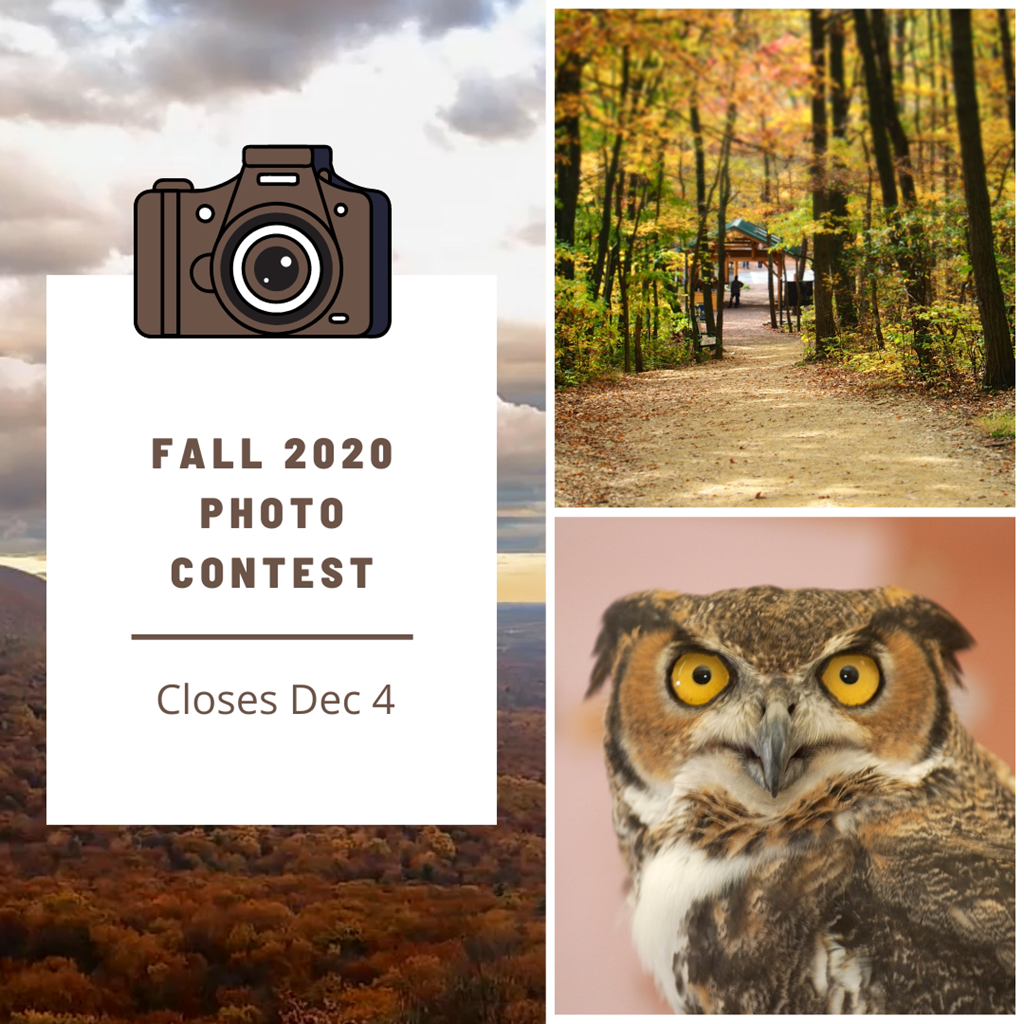 2020 Fall Photo Contest 2020 Fall Photo Contest