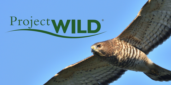 Project Wild: Wild About Raptors