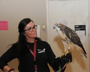 rachel raptor training Rachel raptor training