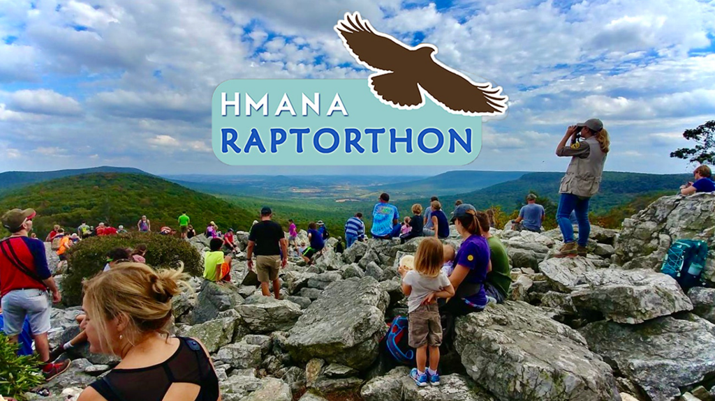 Raptorthon Graphic featuring photo of visitors and trainee at North Lookout