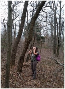 rebecca inspecting stick nest