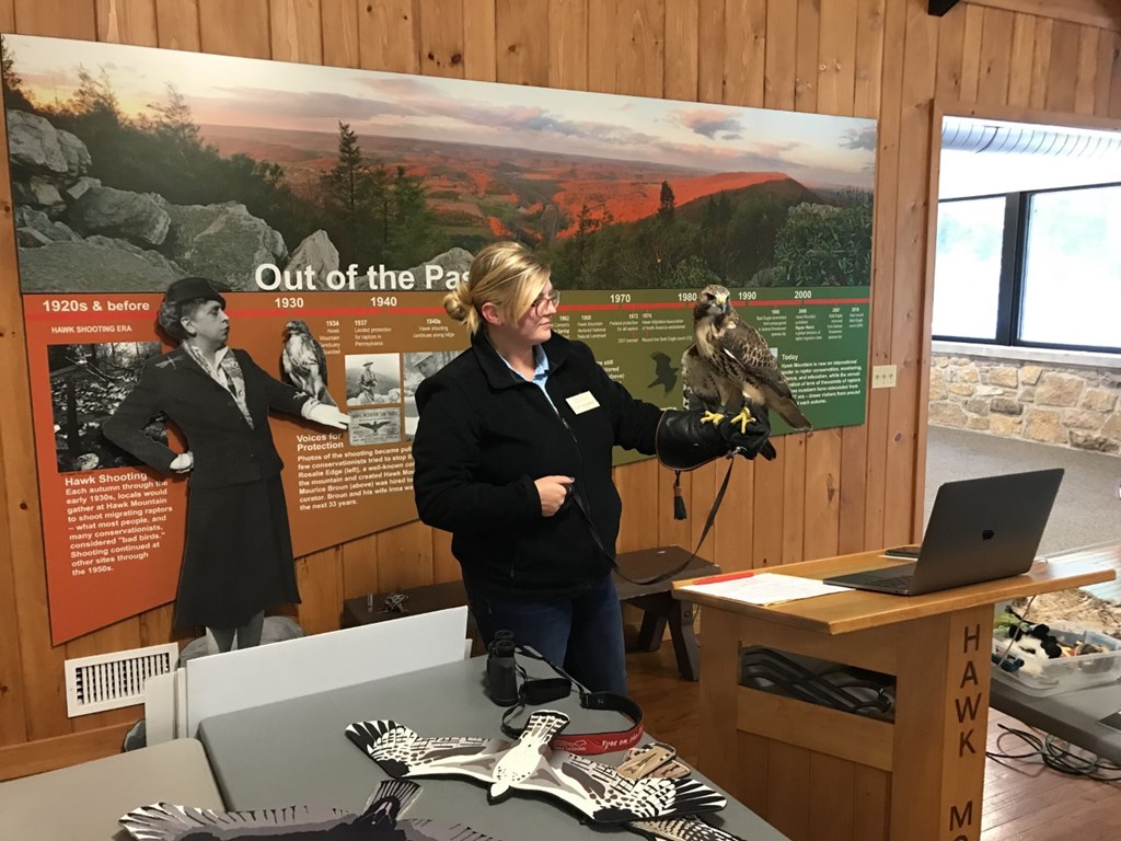 Educator Riley Holding a Red-tailed Hawk for a Virtual Program